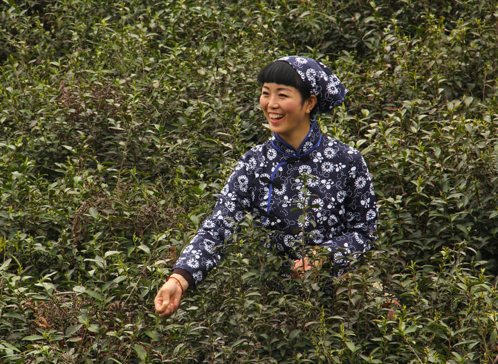 牡丹在线免费观看 专题3